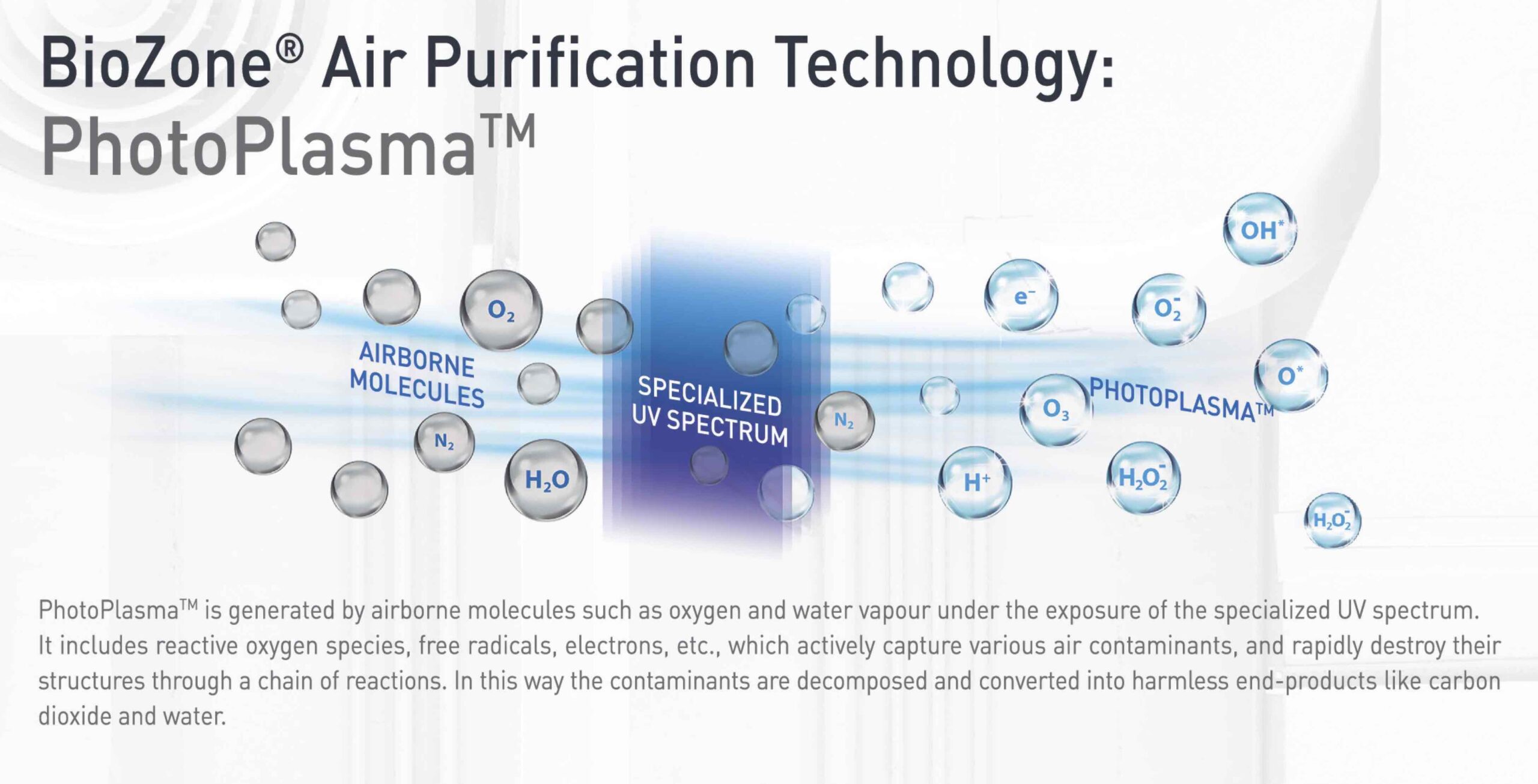 biozone_leaflet_MLP_0430_op_preview-12S copy
